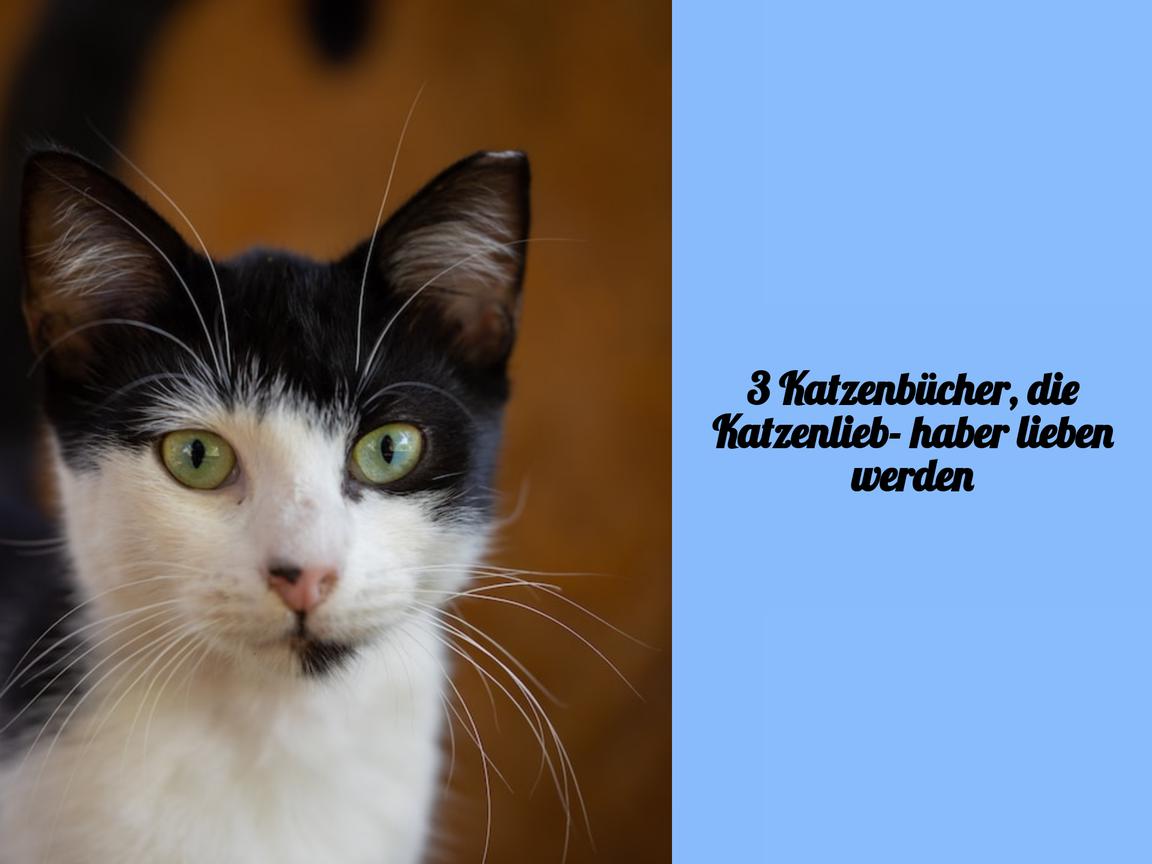 3 Katzenbücher, die Katzenliebhaber lieben werden