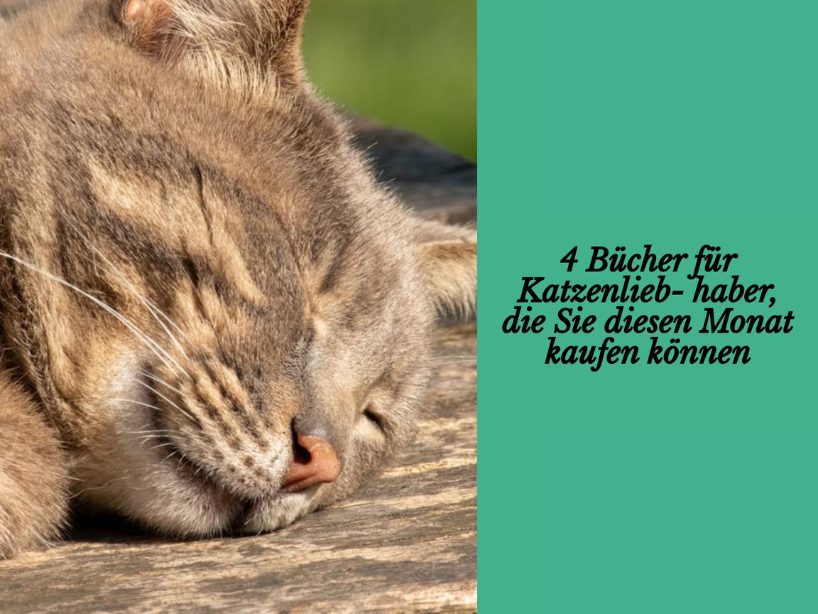 4 Bücher für Katzenliebhaber, die Sie diesen Monat kaufen können