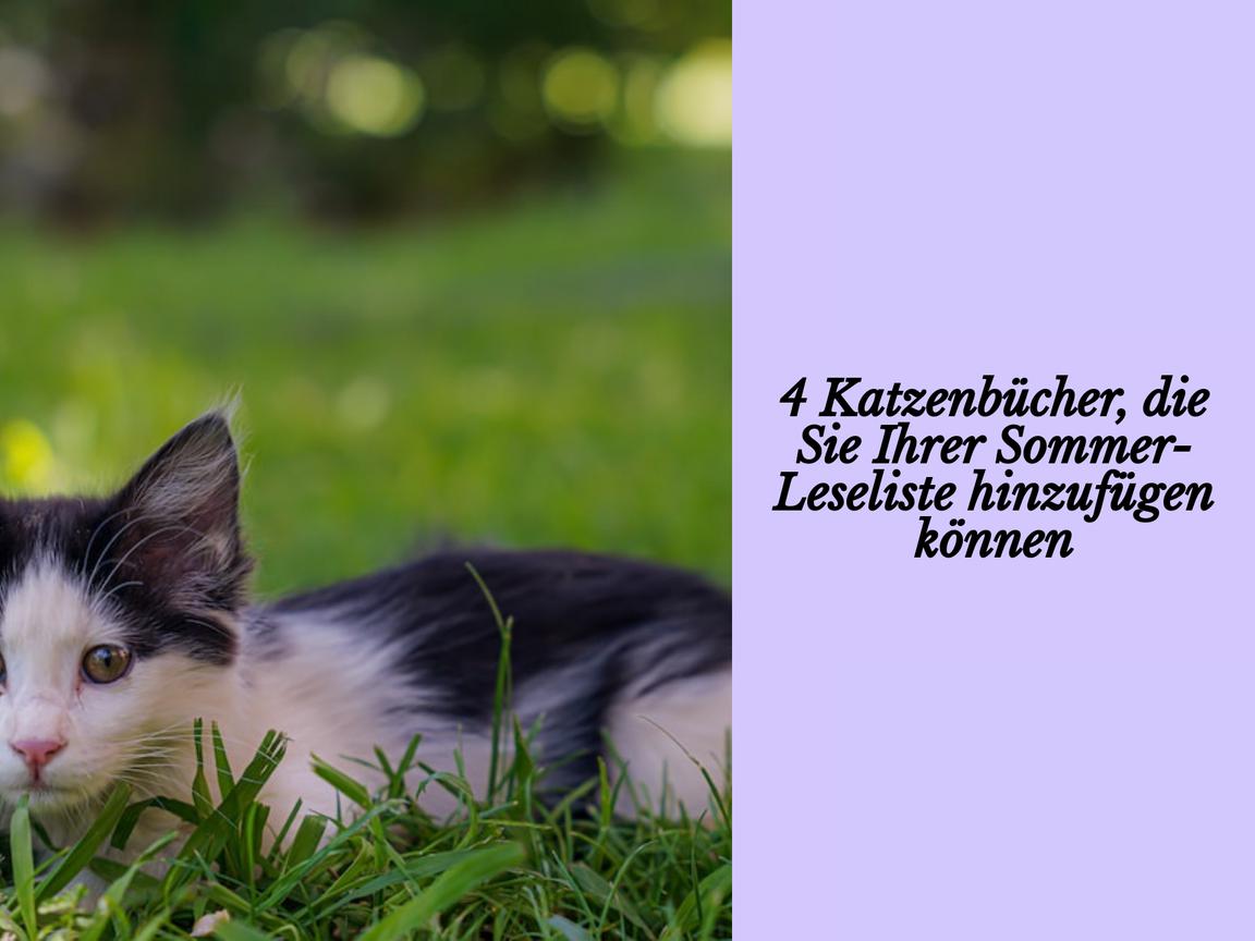 4 Katzenbücher, die Sie Ihrer Sommer-Leseliste hinzufügen können