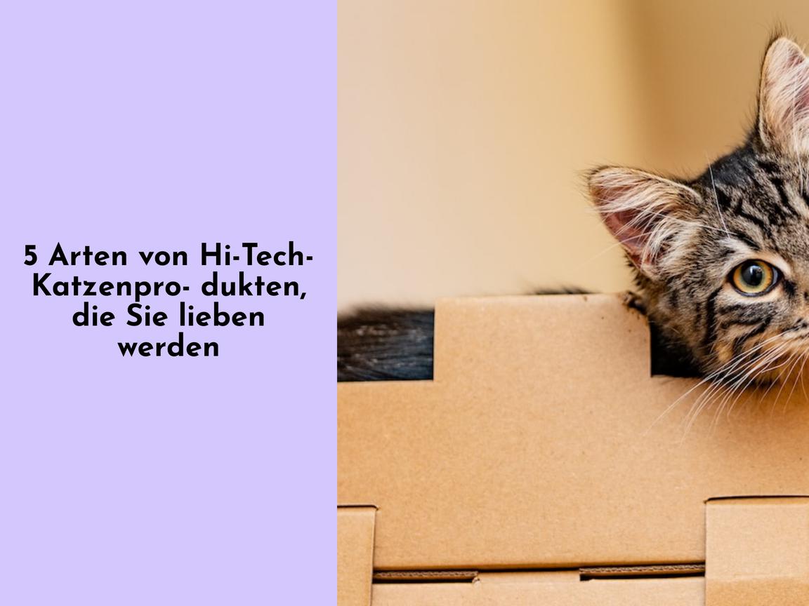 5 Arten von Hi-Tech-Katzenprodukten, die Sie lieben werden