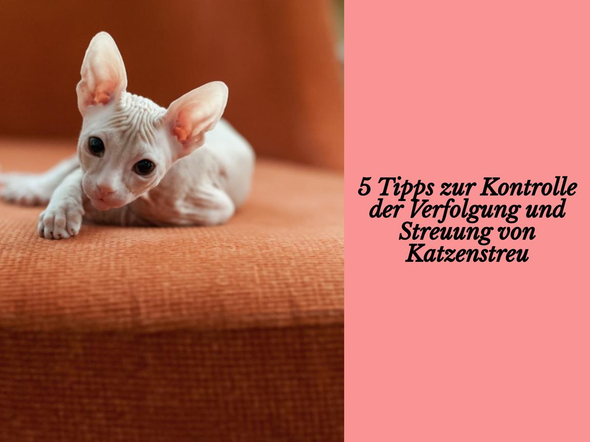 5 Tipps zur Kontrolle der Verfolgung und Streuung von Katzenstreu