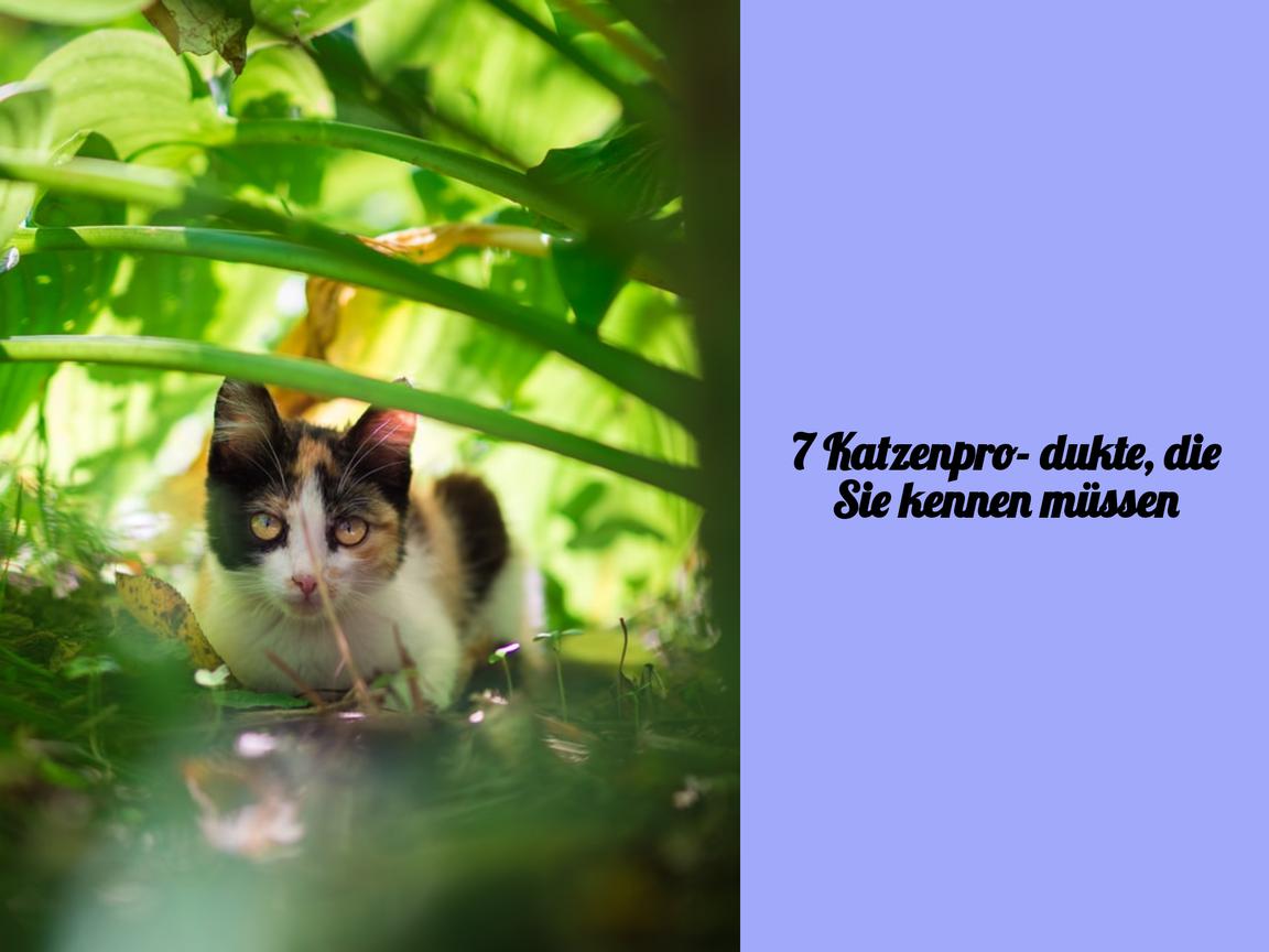 7 Katzenprodukte, die Sie kennen müssen