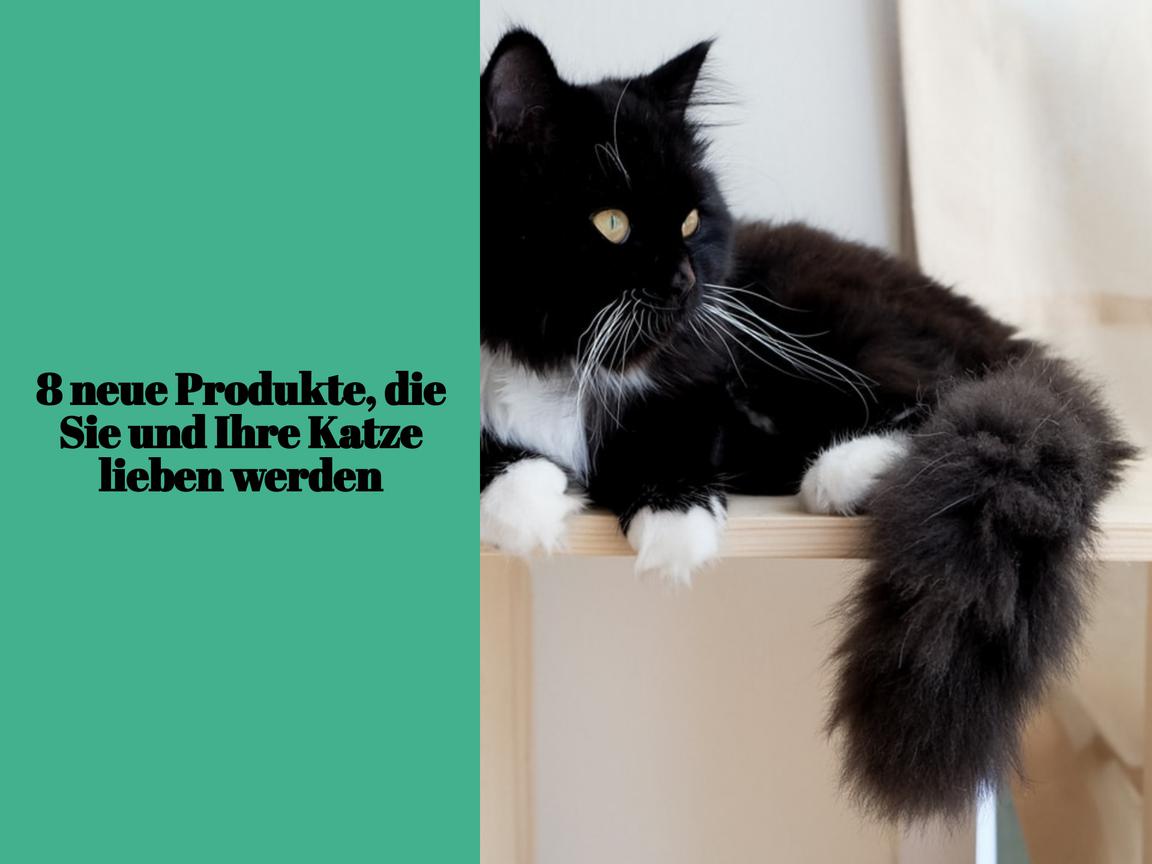 8 neue Produkte, die Sie und Ihre Katze lieben werden