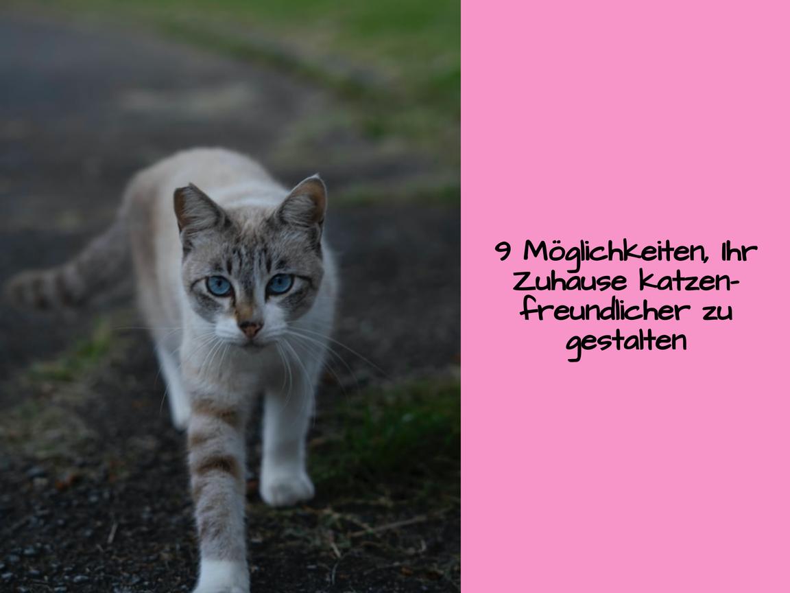 9 Möglichkeiten, Ihr Zuhause katzenfreundlicher zu gestalten