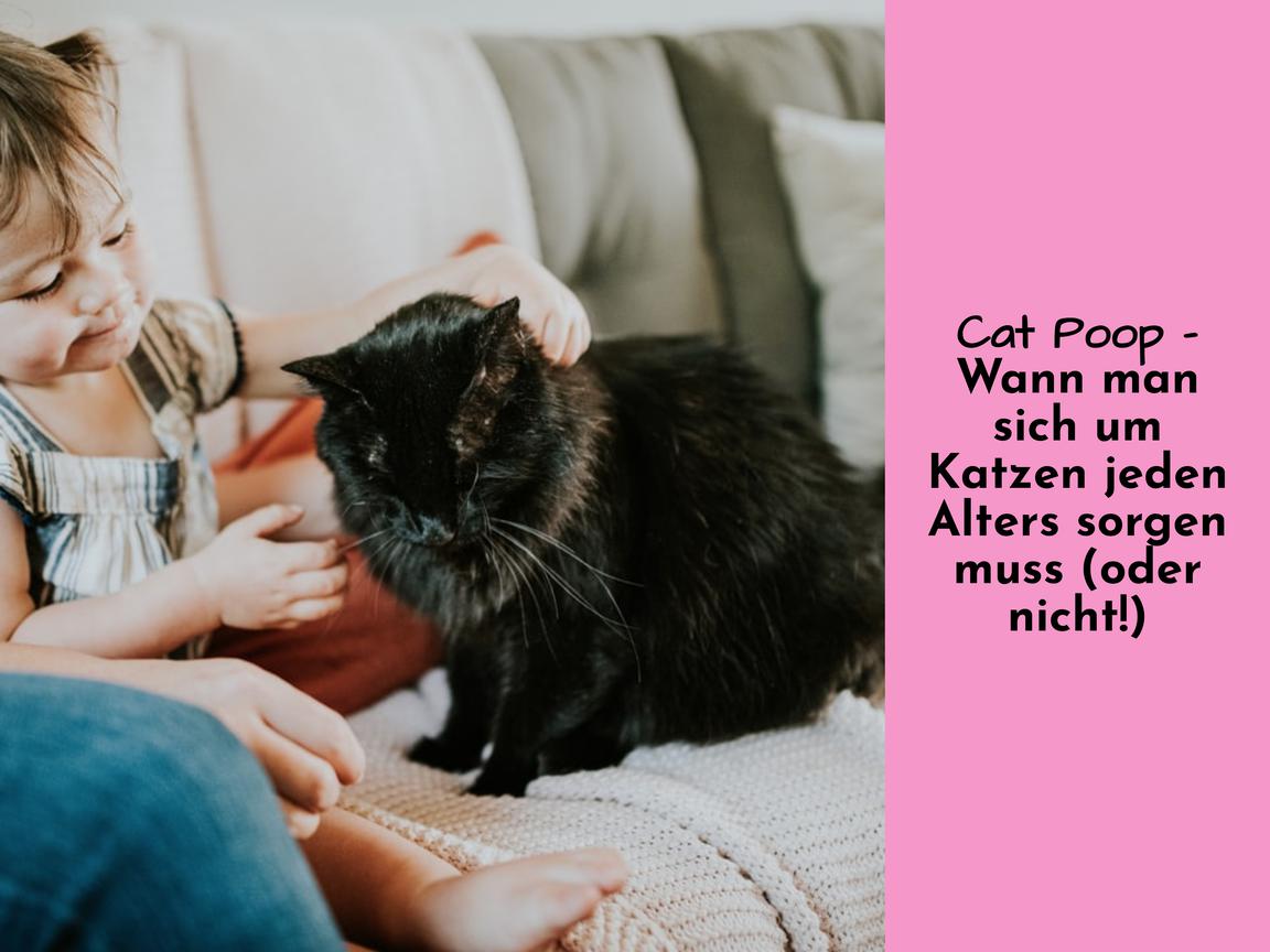 Katzenkot - Wann man sich um Katzen jeden Alters sorgen muss (oder nicht!)