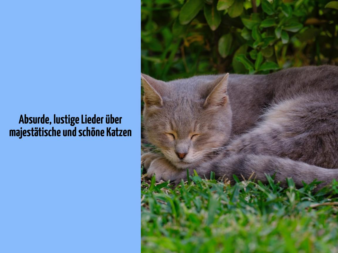 Absurde, lustige Lieder über majestätische und schöne Katzen