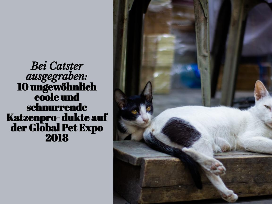 Bei Catster ausgegraben: 10 ungewöhnlich coole und schnurrende Katzenprodukte auf der Global Pet Expo 2018