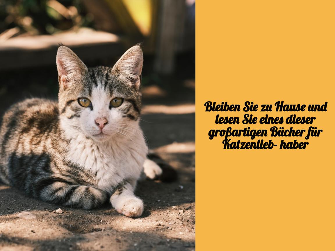 Bleiben Sie zu Hause und lesen Sie eines dieser großartigen Bücher für Katzenliebhaber