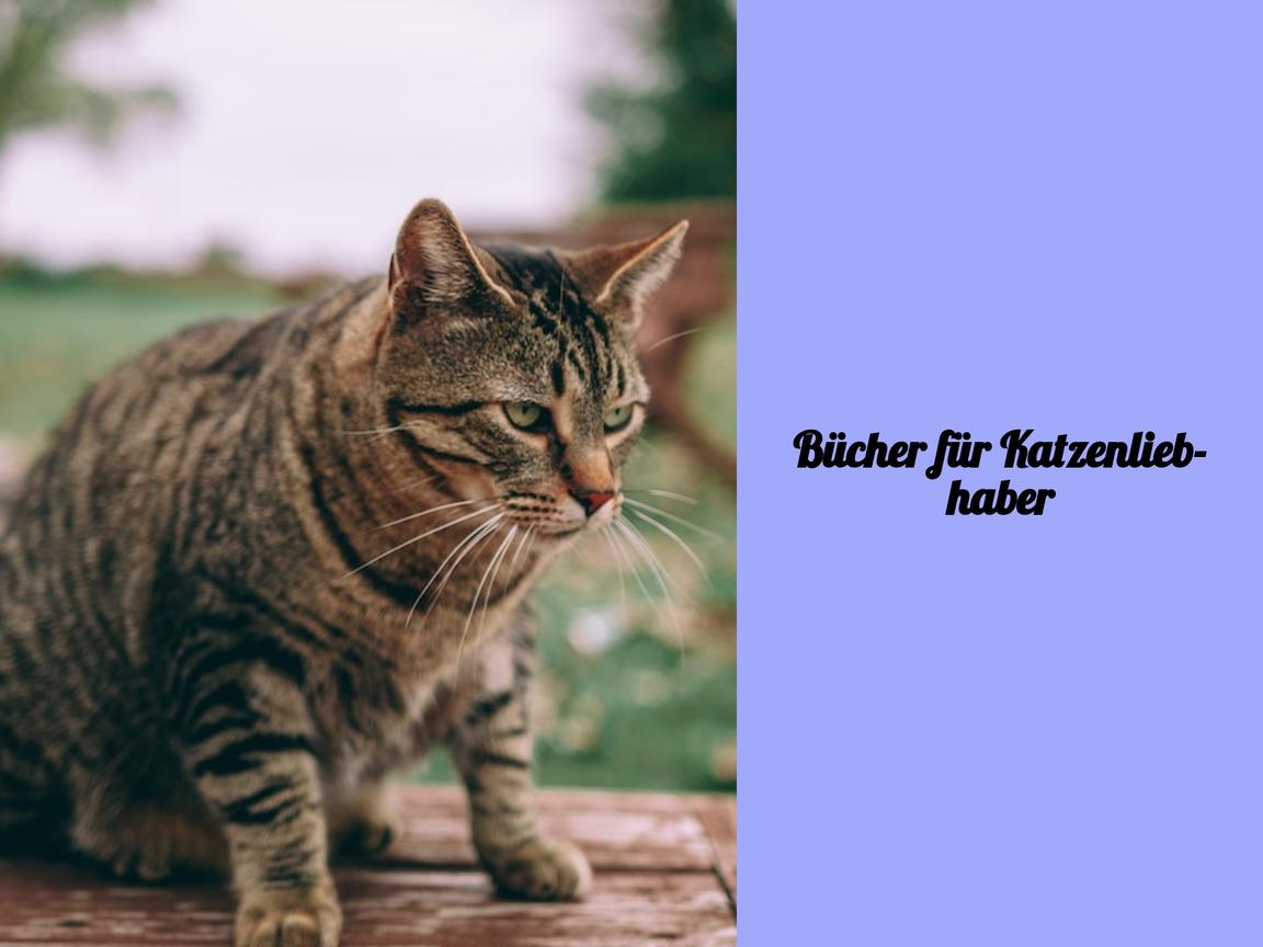 Bücher für Katzenliebhaber