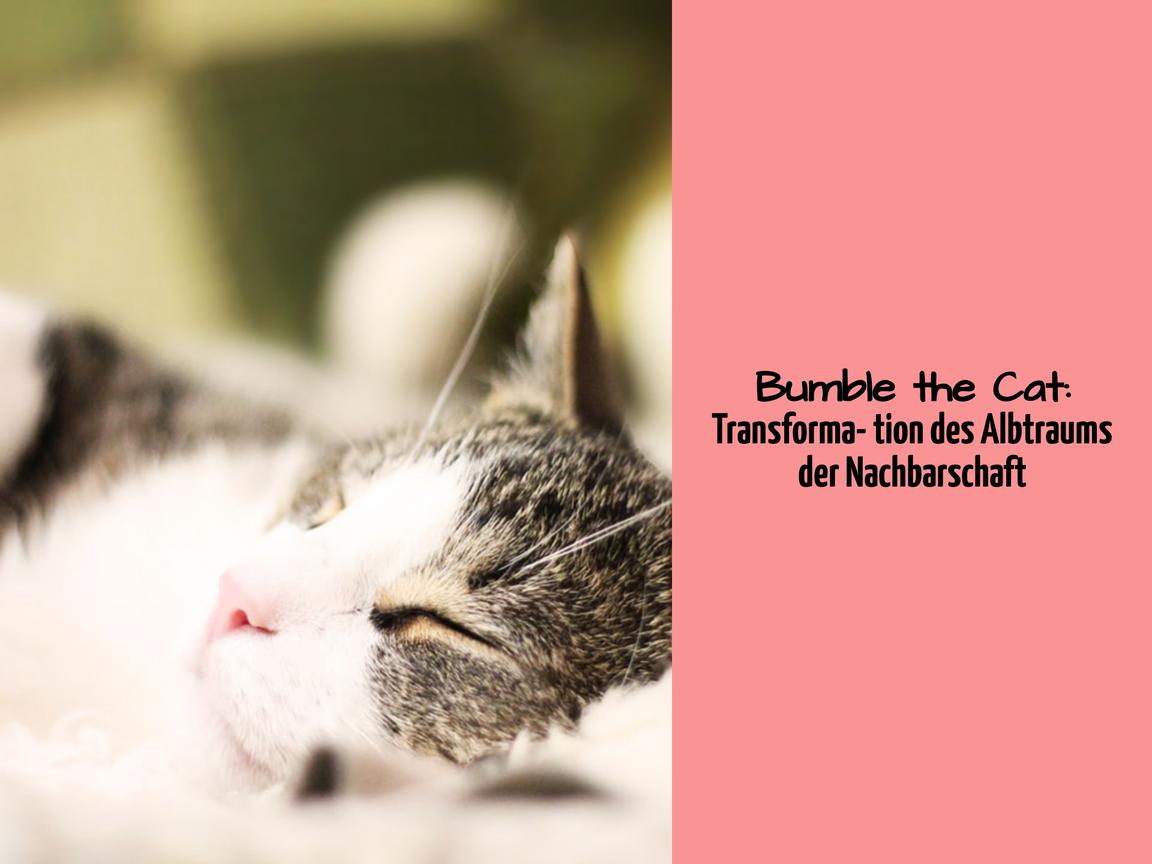 Bumble the Cat: Transformation des Albtraums der Nachbarschaft