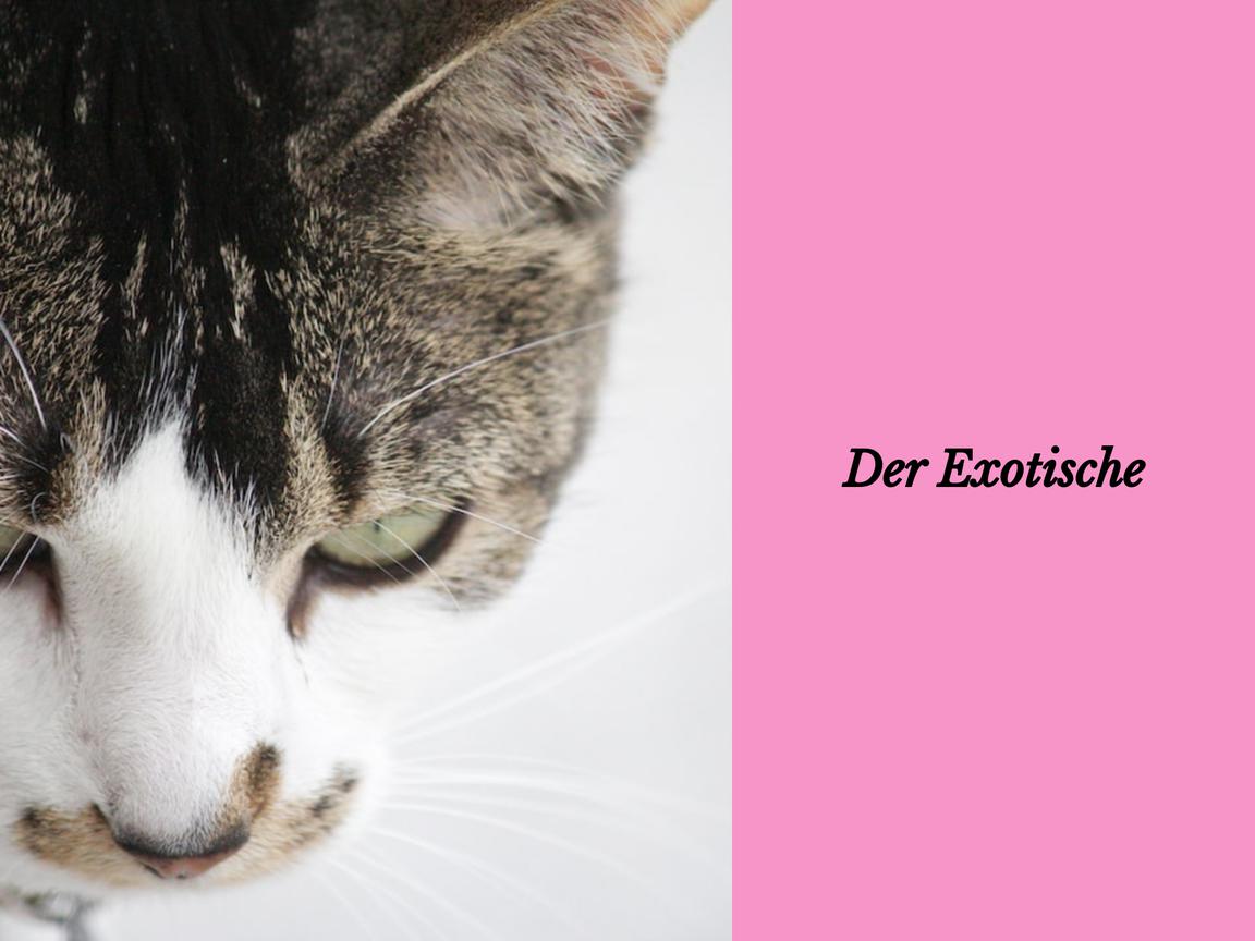 Der Exotische