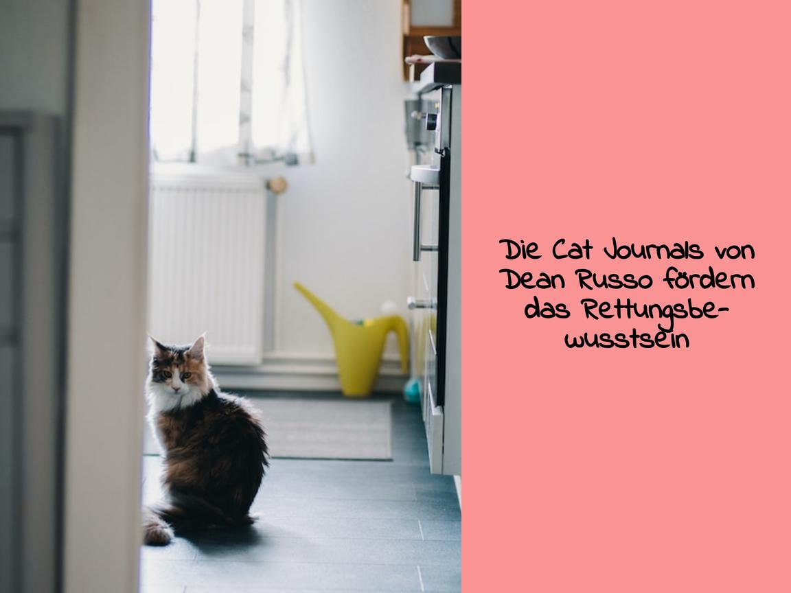 Die Cat Journals von Dean Russo fördern das Rettungsbewusstsein