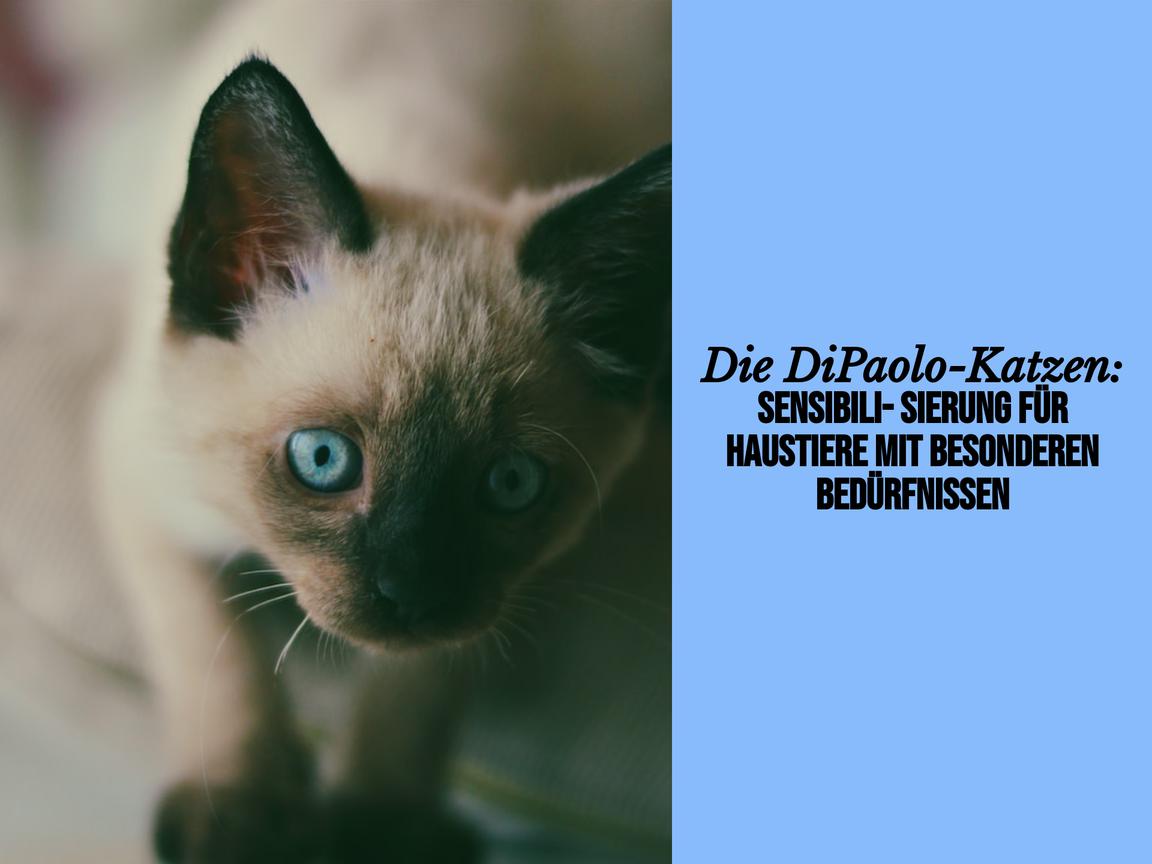 Die DiPaolo-Katzen: Sensibilisierung für Haustiere mit besonderen Bedürfnissen