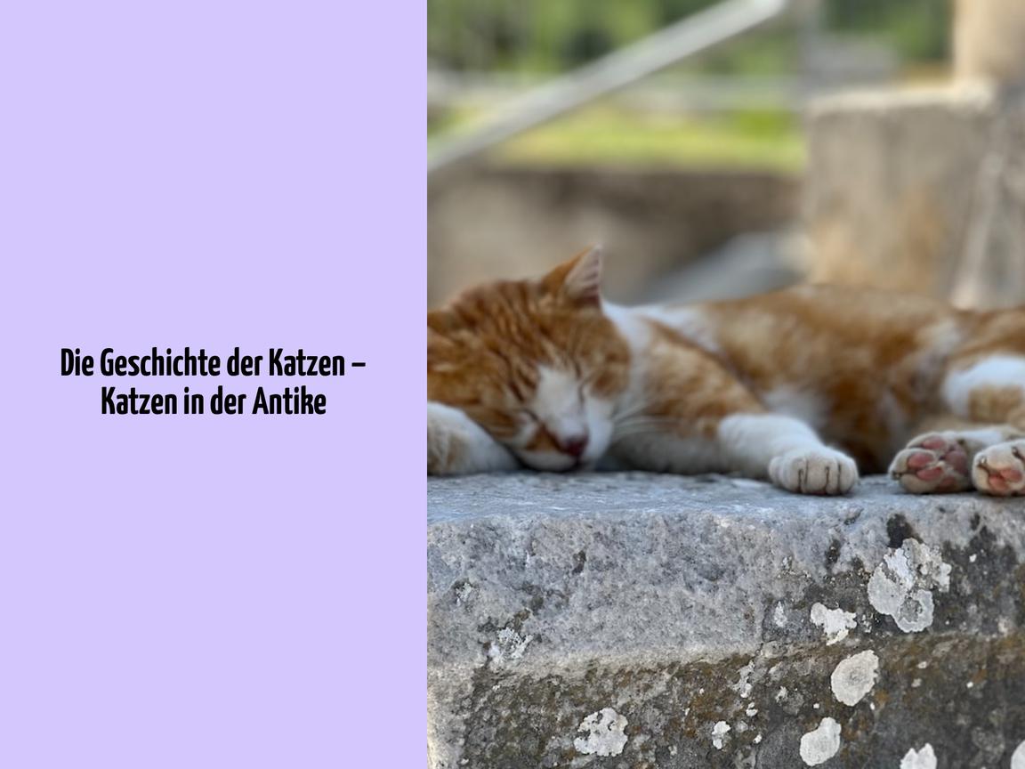 Die Geschichte der Katzen – Katzen in der Antike