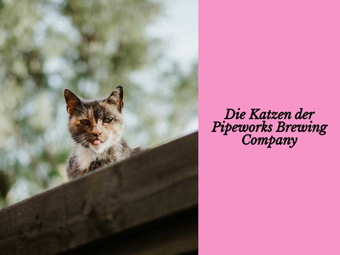 Die Katzen der Pipeworks Brewing Company