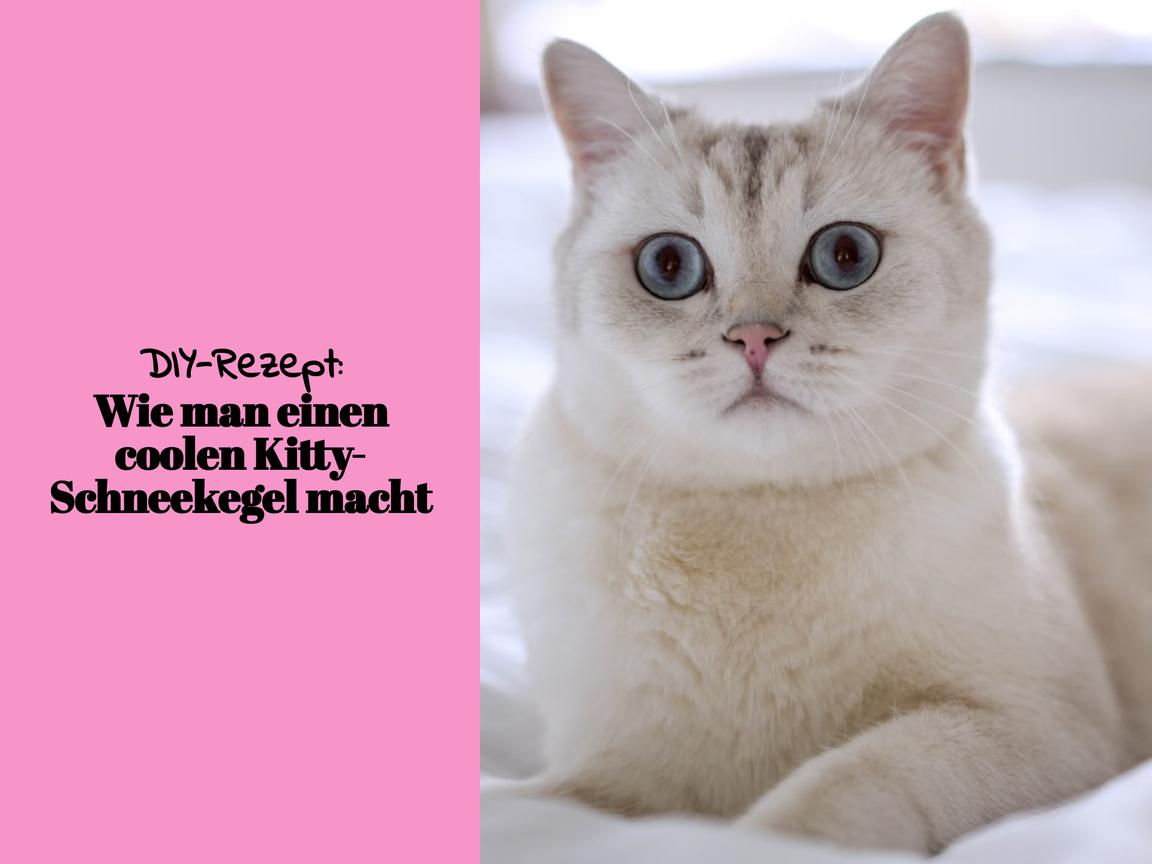 DIY-Rezept: Wie man einen coolen Kitty-Schneekegel macht