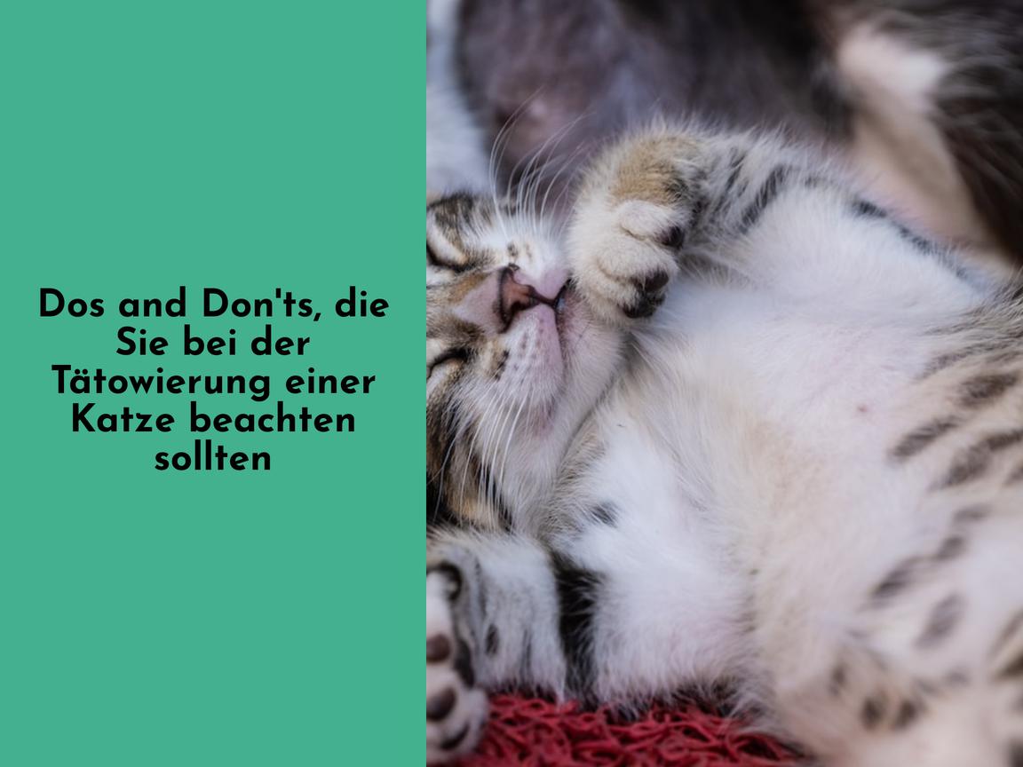 Dos and Don'ts, die Sie bei der Tätowierung einer Katze beachten sollten