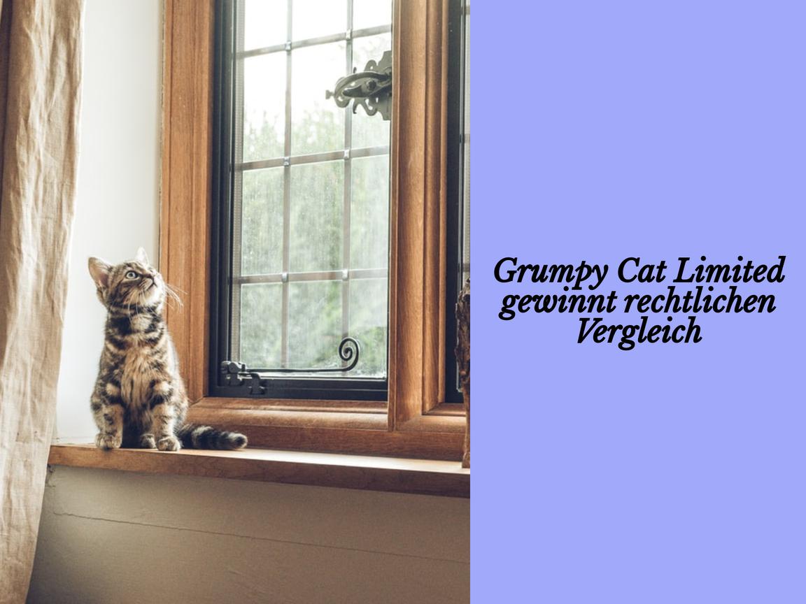 Grumpy Cat Limited gewinnt rechtlichen Vergleich