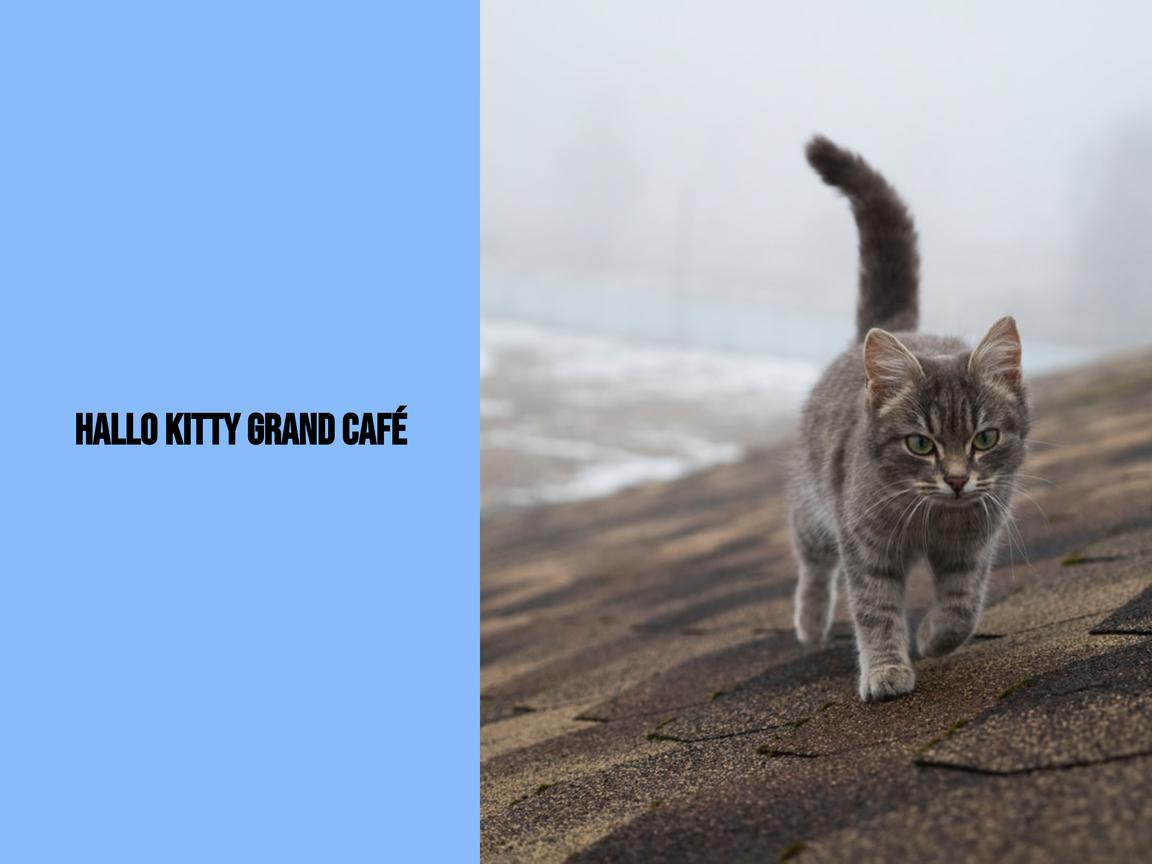 Hallo Kitty Grand Café