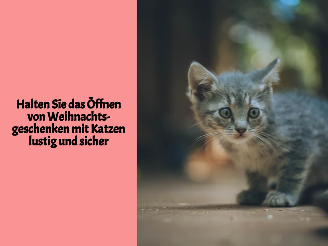 Halten Sie das Öffnen von Weihnachtsgeschenken mit Katzen lustig und sicher