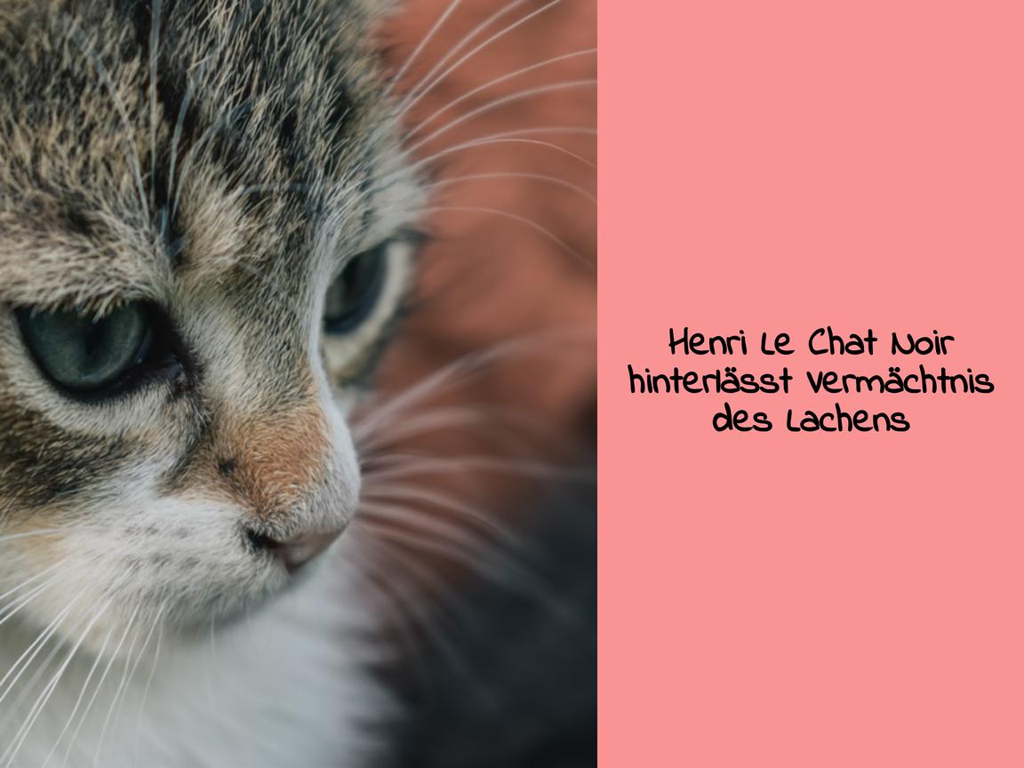 Henri Le Chat Noir hinterlässt Vermächtnis des Lachens