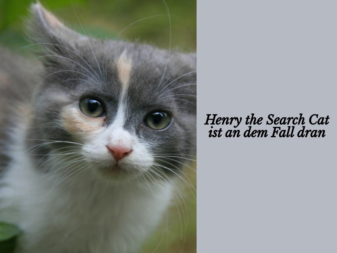 Henry the Search Cat ist an dem Fall dran