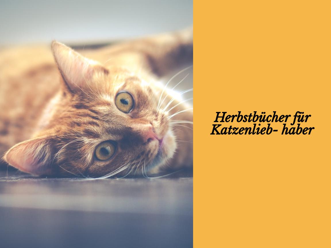 Herbstbücher für Katzenliebhaber