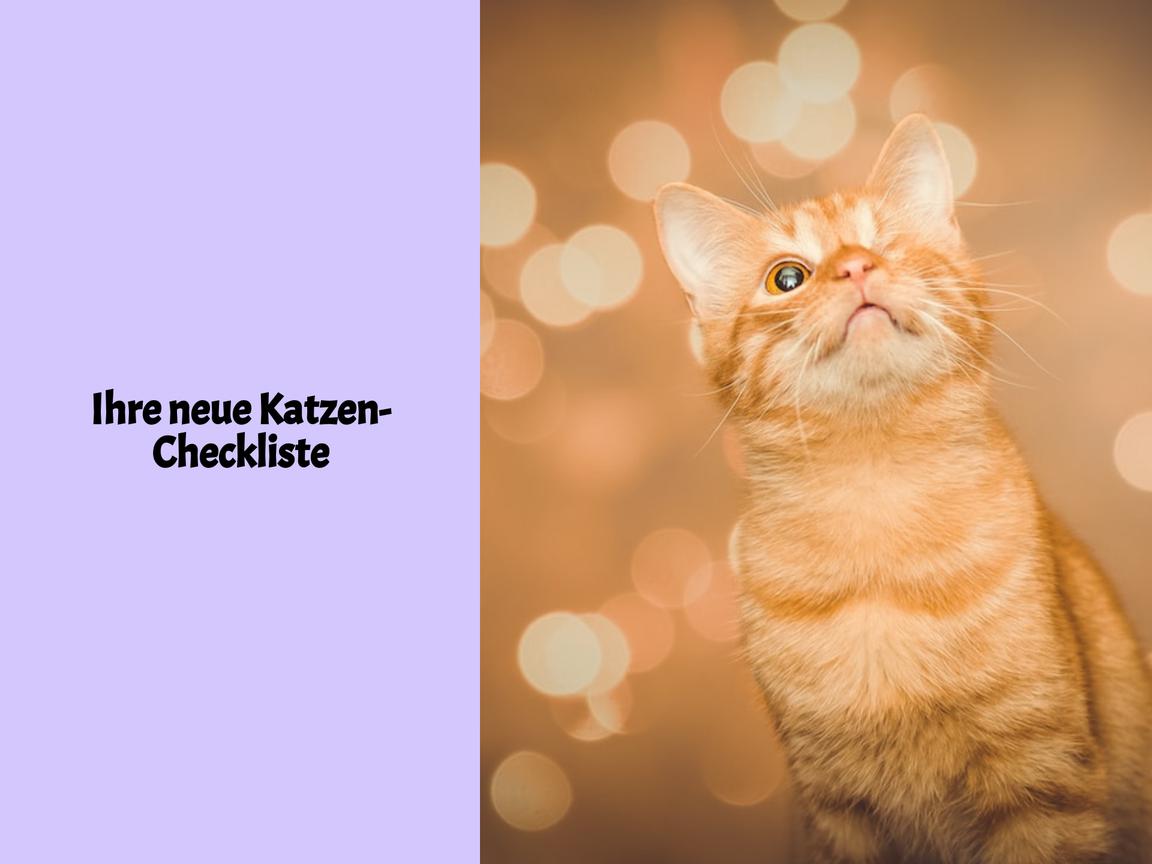 Ihre neue Katzen-Checkliste