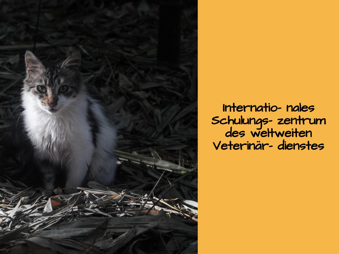 Internationales Schulungszentrum des weltweiten Veterinärdienstes