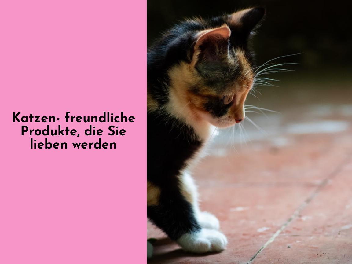 Katzenfreundliche Produkte, die Sie lieben werden