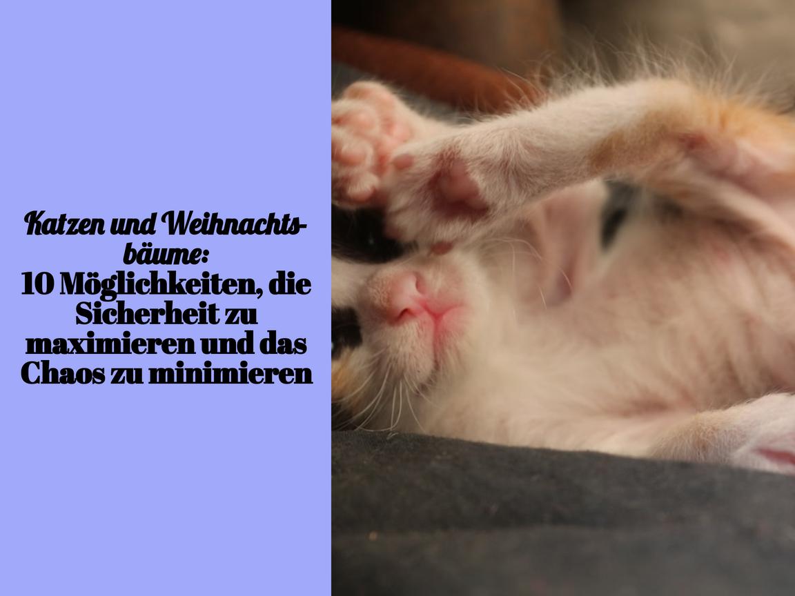 Katzen und Weihnachtsbäume: 10 Möglichkeiten, die Sicherheit zu maximieren und das Chaos zu minimieren