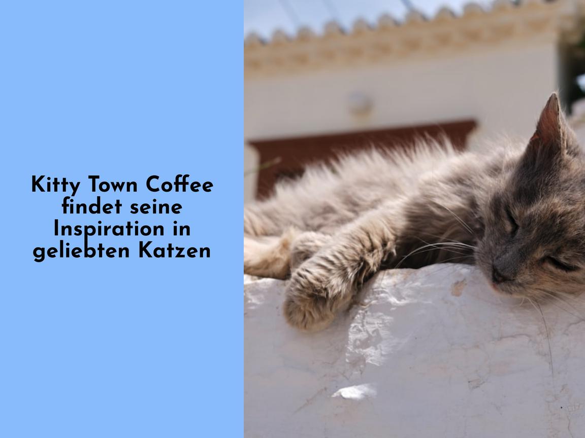 Kitty Town Coffee findet seine Inspiration in geliebten Katzen