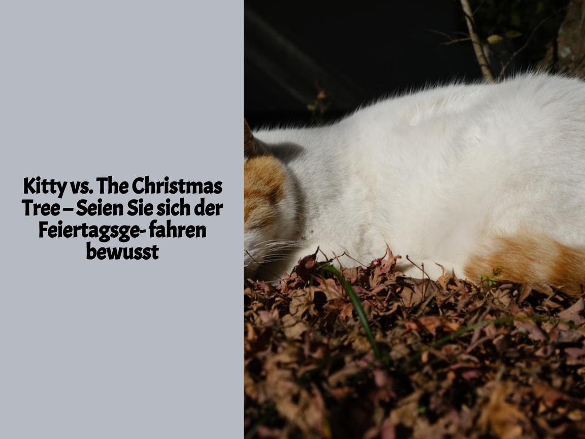 Kitty vs. The Christmas Tree – Seien Sie sich der Feiertagsgefahren bewusst