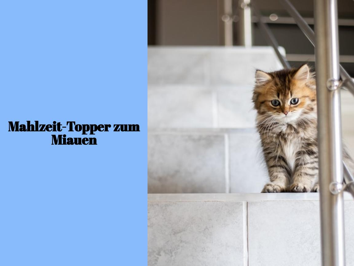 Mahlzeit-Topper zum Miauen