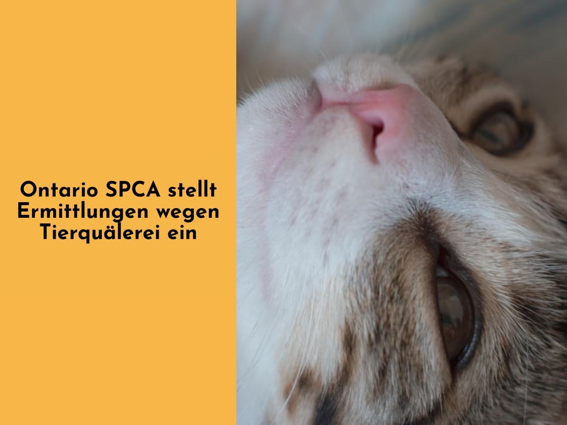 Ontario SPCA stellt Ermittlungen wegen Tierquälerei ein