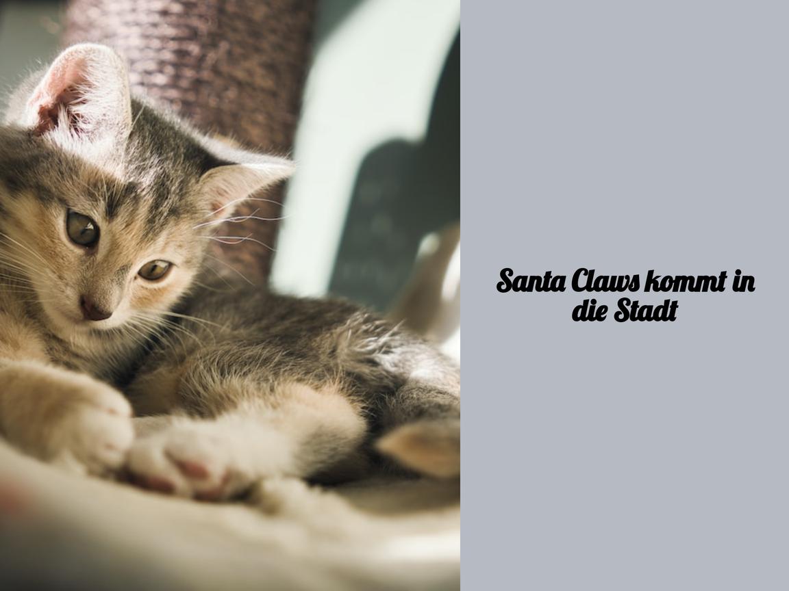 Santa Claws kommt in die Stadt