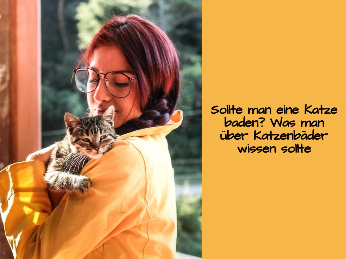 Sollte man eine Katze baden? Was man über Katzenbäder wissen sollte