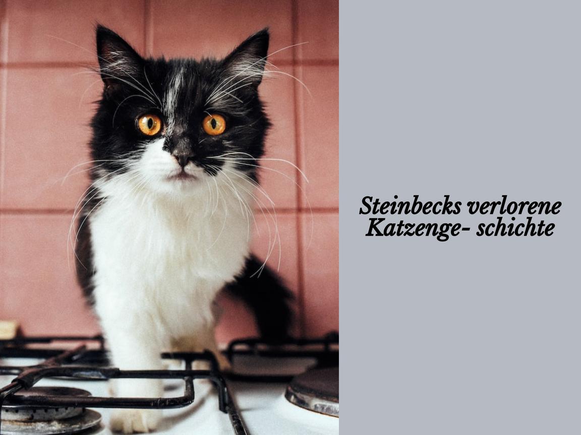 Steinbecks verlorene Katzengeschichte