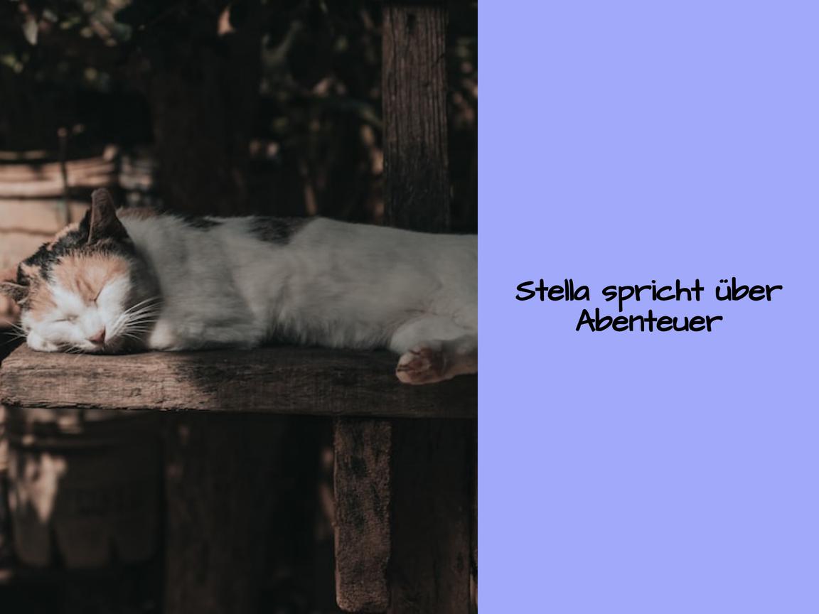 Stella spricht über Abenteuer