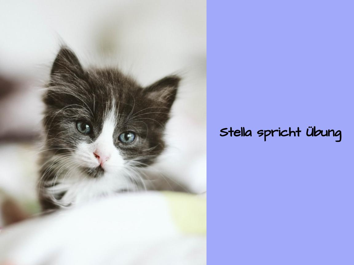 Stella spricht Übung