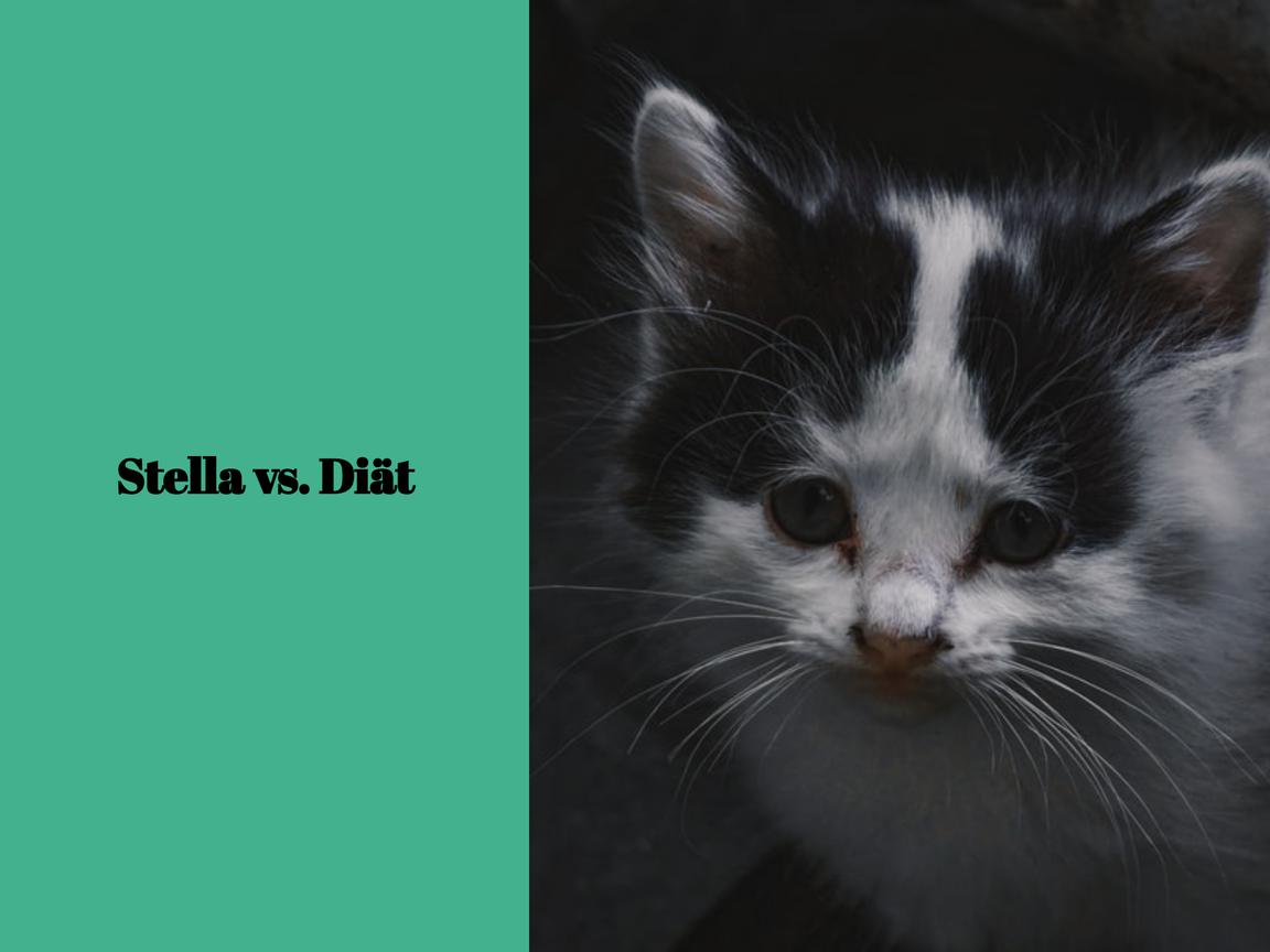 Stella vs. Diät