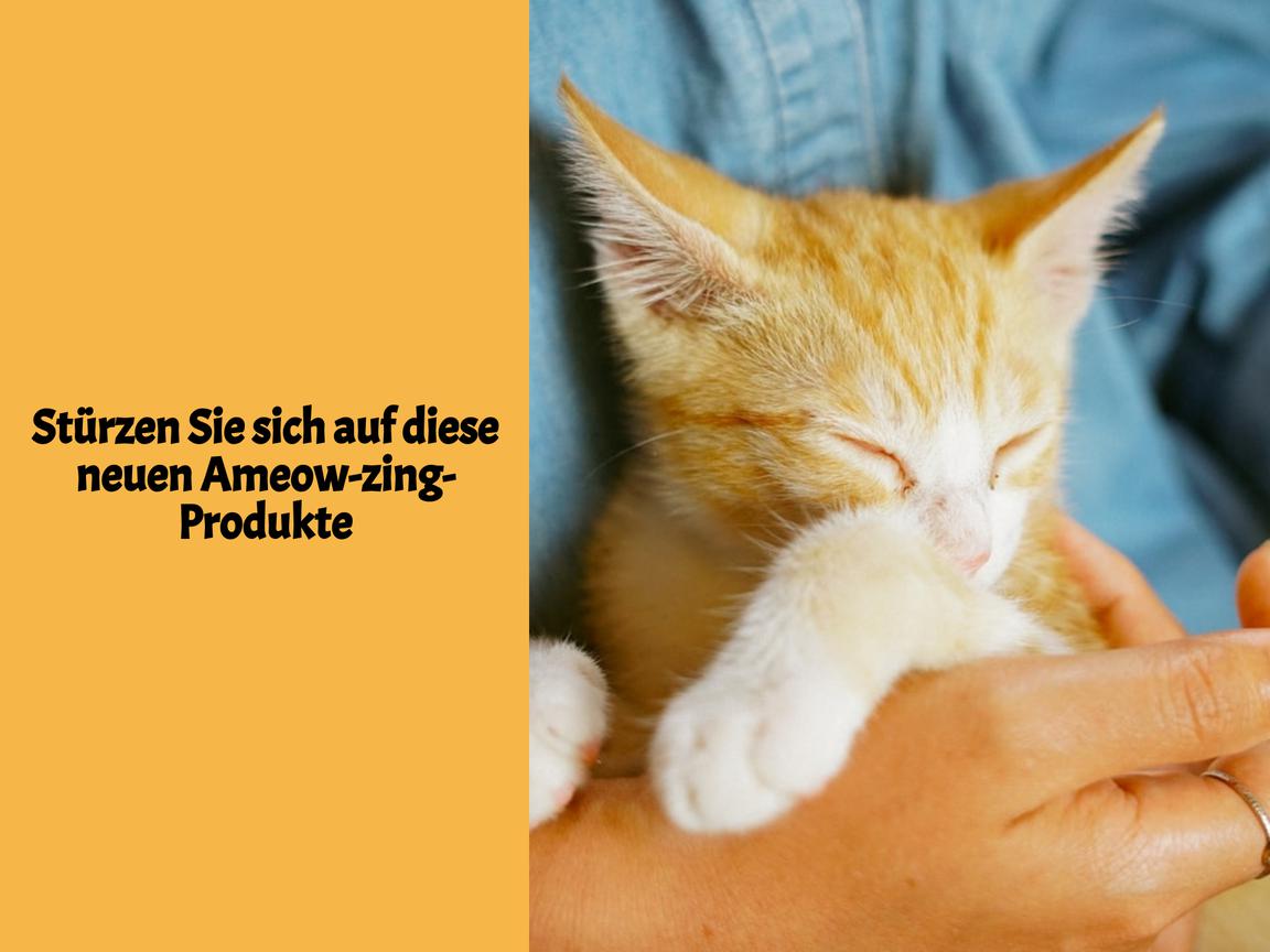 Stürzen Sie sich auf diese neuen Ameow-zing-Produkte