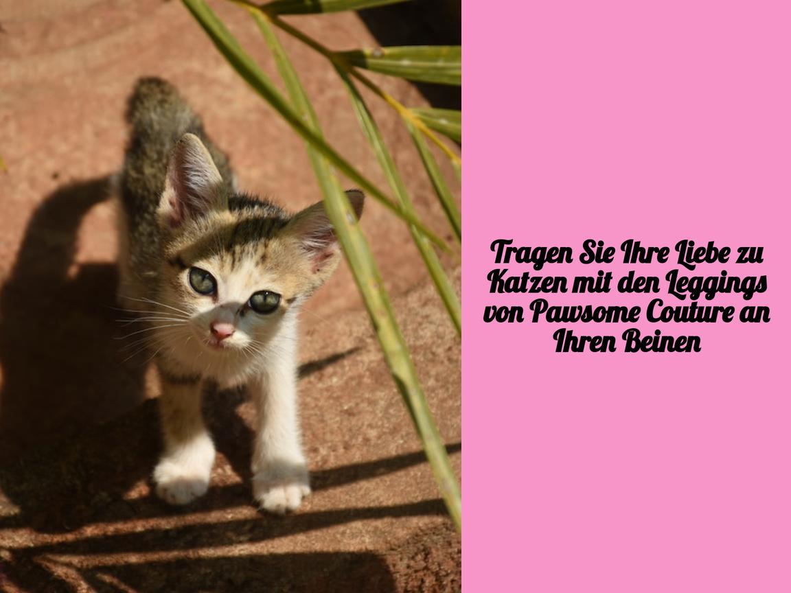 Tragen Sie Ihre Liebe zu Katzen mit den Leggings von Pawsome Couture an Ihren Beinen