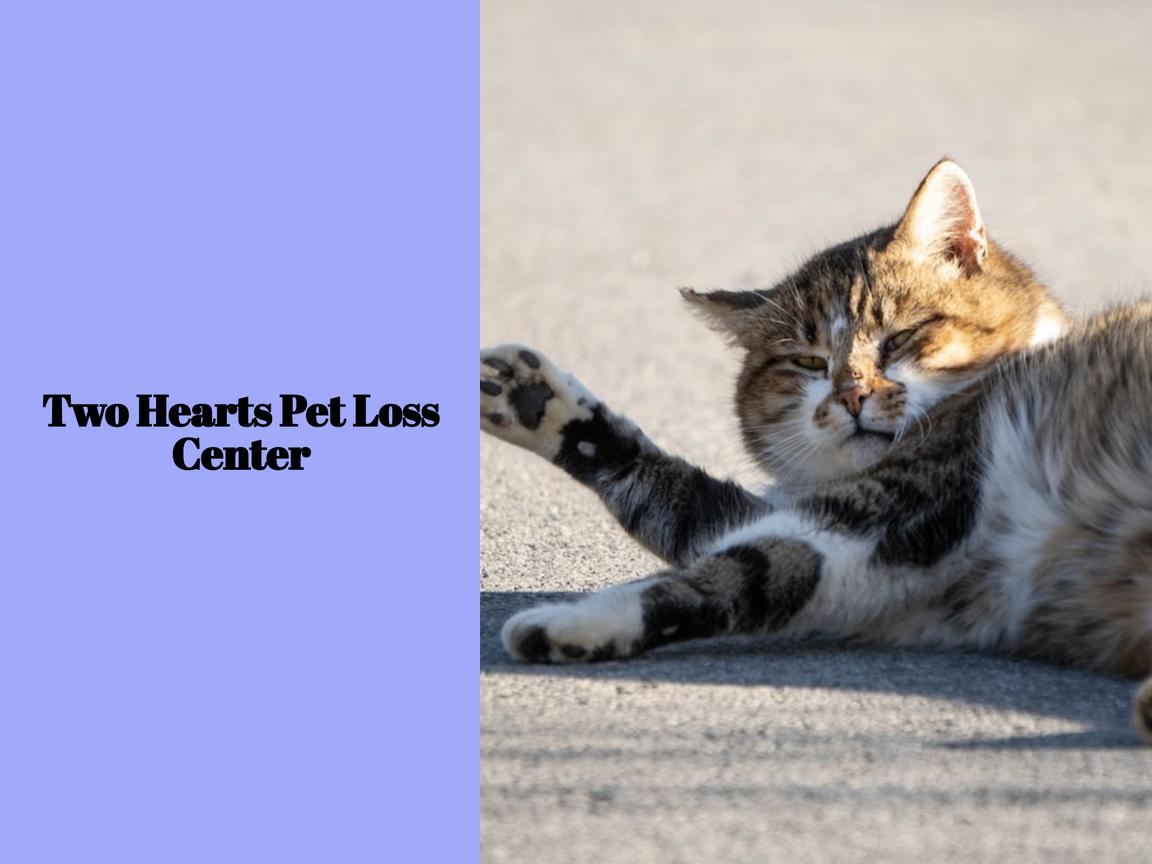 Two Hearts Pet Loss Center