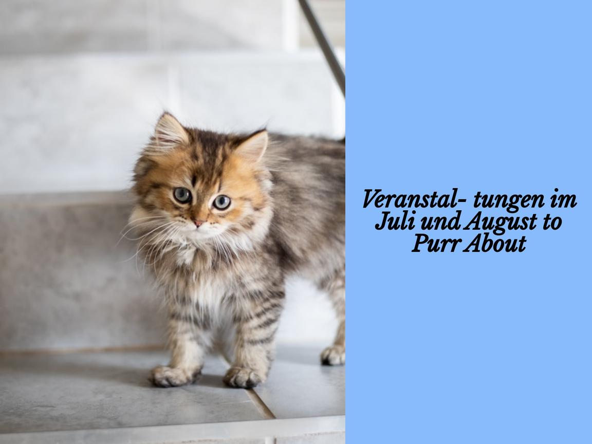 Veranstaltungen im Juli und August to Purr About