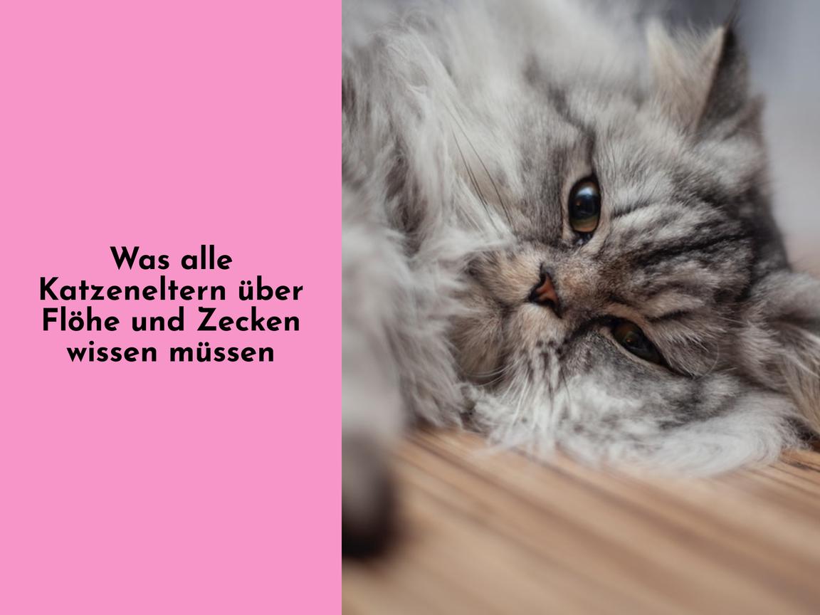 Was alle Katzeneltern über Flöhe und Zecken wissen müssen