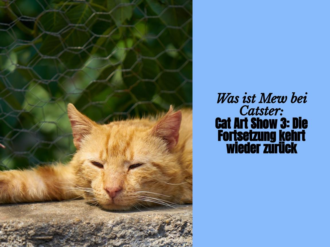 Was ist Mew bei Catster: Cat Art Show 3: Die Fortsetzung kehrt wieder zurück