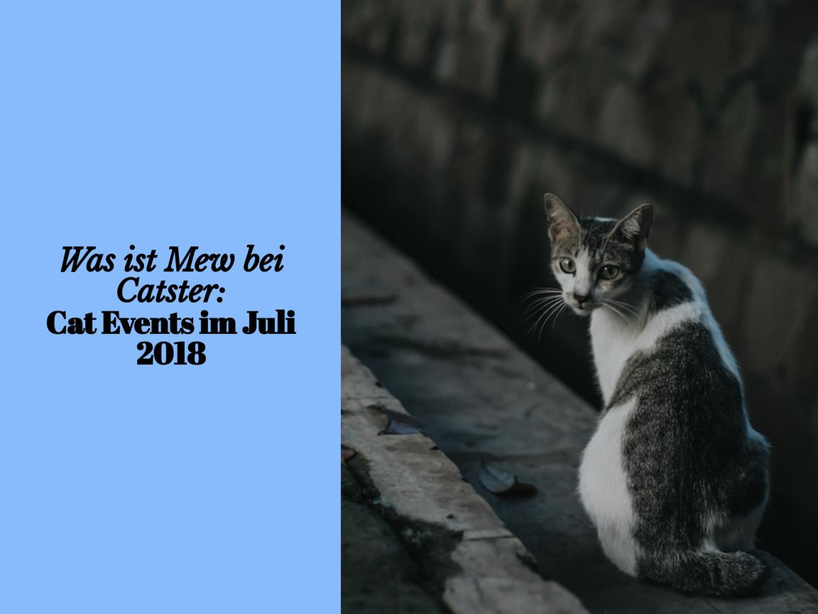 Was ist Mew bei Catster: Cat Events im Juli 2018