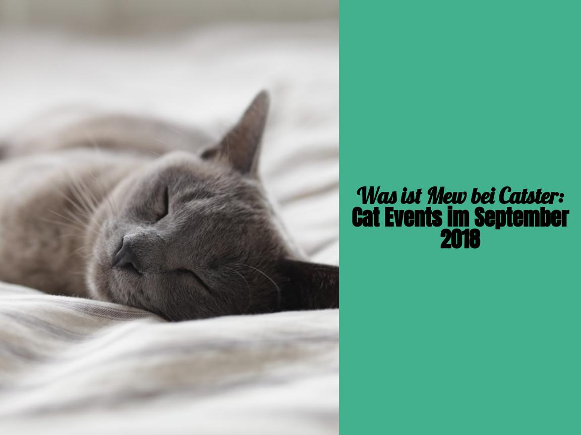 Was ist Mew bei Catster: Cat Events im September 2018