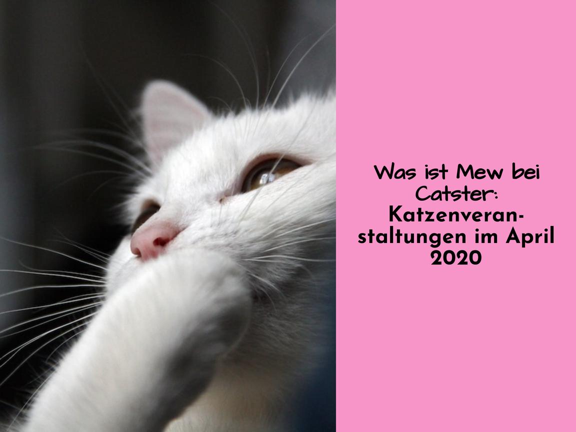 Was ist Mew bei Catster: Katzenveranstaltungen im April 2020